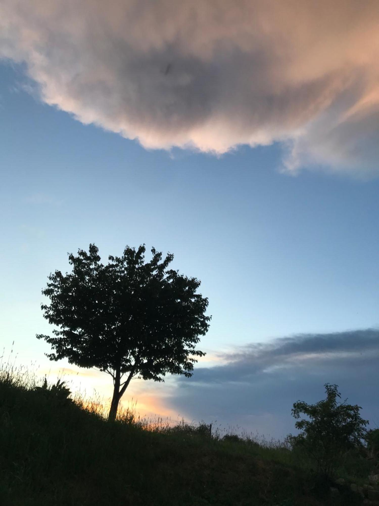 Dom Piwowara Otel Leśna Dış mekan fotoğraf