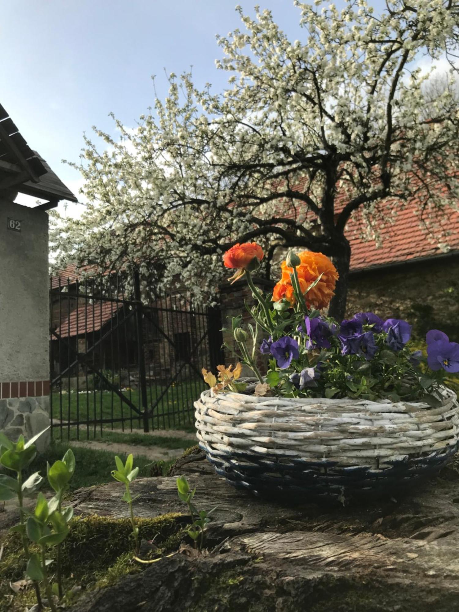 Dom Piwowara Otel Leśna Dış mekan fotoğraf