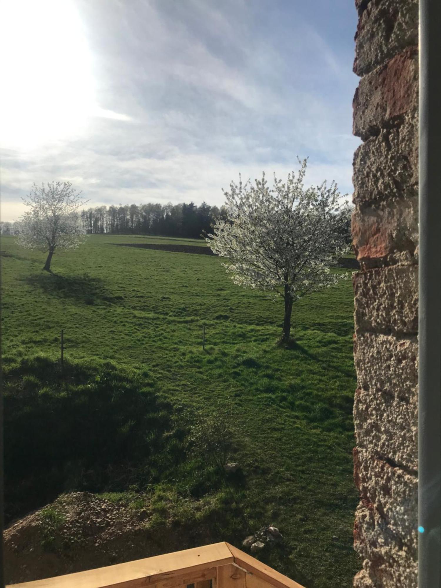 Dom Piwowara Otel Leśna Dış mekan fotoğraf